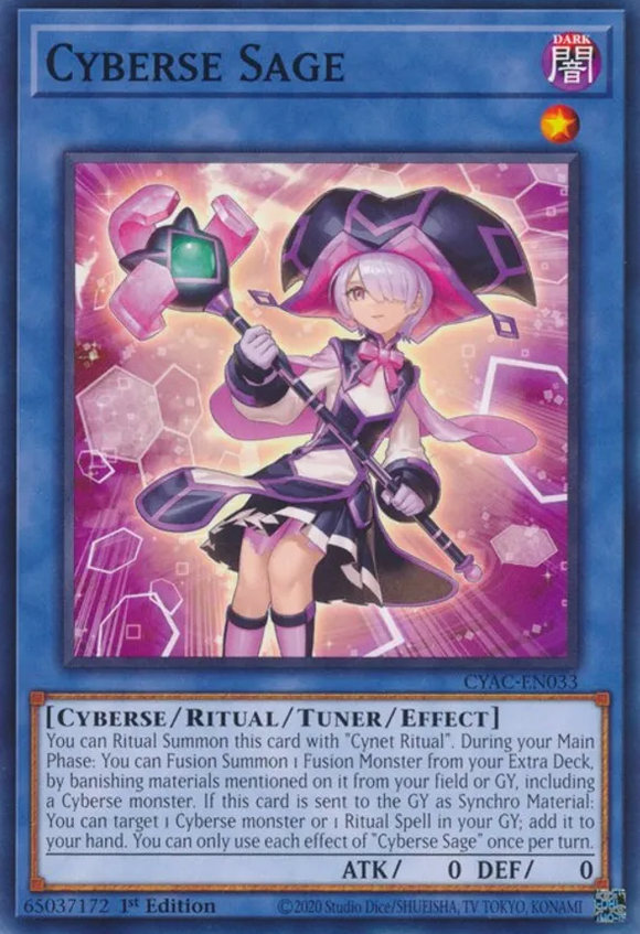 Cyberse Sage - CYAC-EN033 - Common 1st Edition