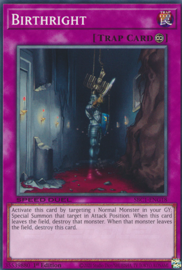 Birthright - SBC1-ENG18 - Common 1st Edition