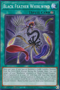 Black Feather Whirlwind - MP23-EN195 - Common 1st Edition