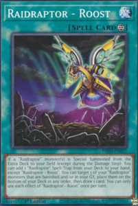 Raidraptor - Roost - PHNI-EN057 - Common 1st Edition