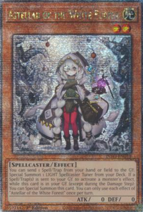 Astellar of the White Forest - INFO-EN013 - Quarter Century Rare 1st Edition