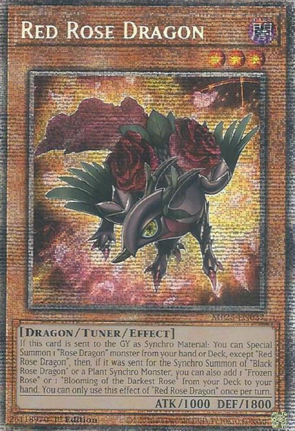 Red Rose Dragon - MP25-EN037 - Starlight Rare 1st Edition (PRE-ORDER) (DELAYED)
