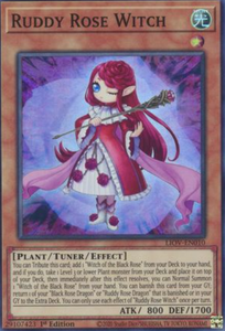 Ruddy Rose Witch - LIOV-EN010 - Super Rare 1st Edition