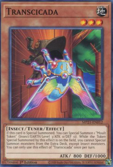 Transcicada - MP21-EN012 - Common 1st Edition