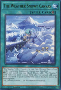 The Weather Snowy Canvas - MGED-EN098 - Rare 1st Edition