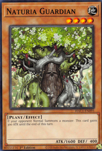 Naturia Guardian - HAC1-EN095 - Common 1st Edition