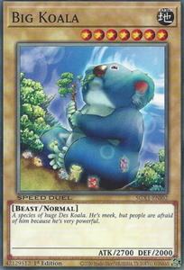 Big Koala - SGX1-ENI02 - Common 1st Edition
