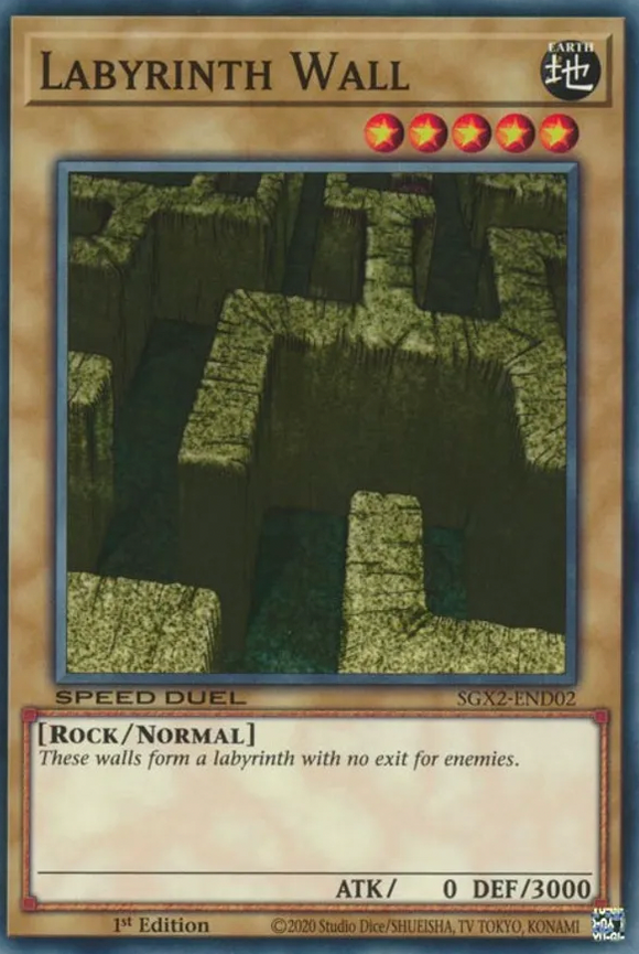 Labyrinth Wall - SGX2-END02 - Common 1st Edition
