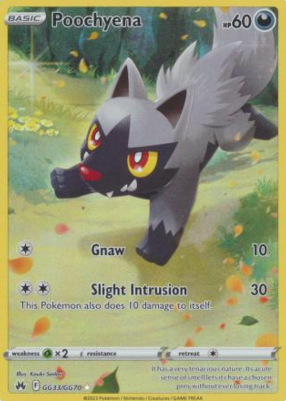Poochyena - GG33/GG70 - Holo Rare