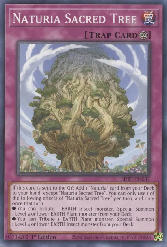 Naturia Sacred Tree - SDBT-EN037 - Common 1st Edition