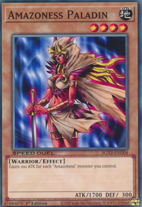 Amazoness Paladin - SGX3-END04 - Common 1st Edition